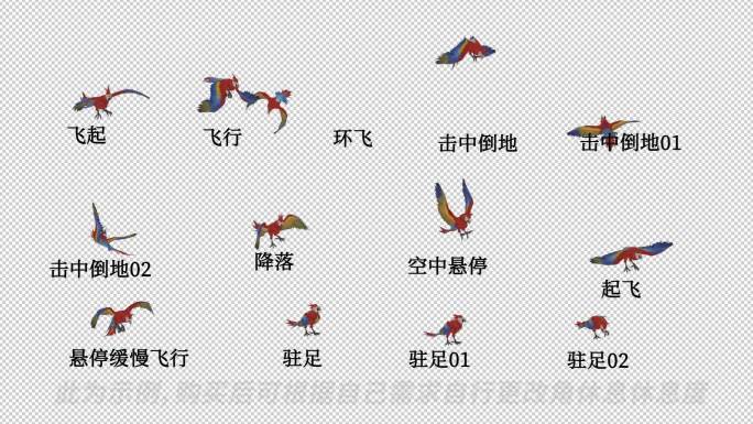 AE自由调整动物模型系列_《鹦鹉01》