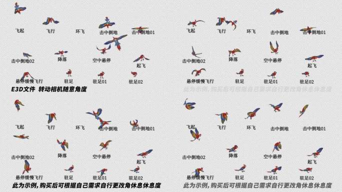 AE自由调整动物模型系列_《鹦鹉01》