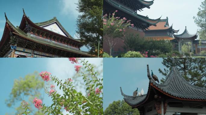 义乌佛堂双林寺晴天素材