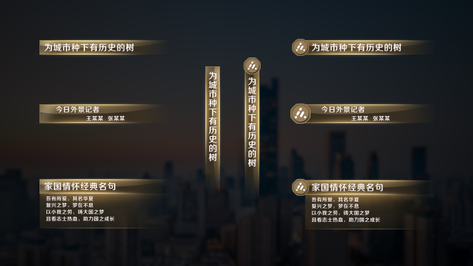 【原创】大气金色人名字幕条