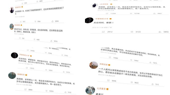 网友 网页 评论 留言 文字评论 弹幕
