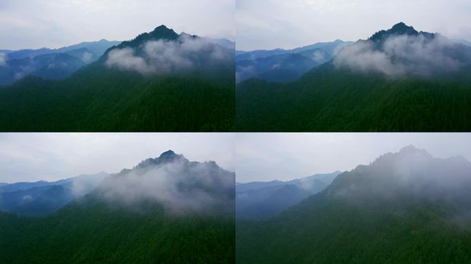 飞越f云雾山脉山峰森林航拍大景