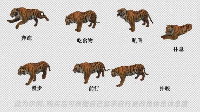 AE自由调整动物模型系列_《老虎》