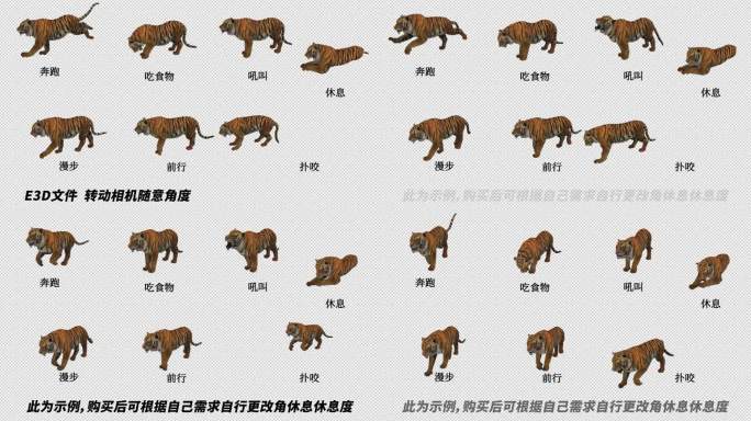 AE自由调整动物模型系列_《老虎》
