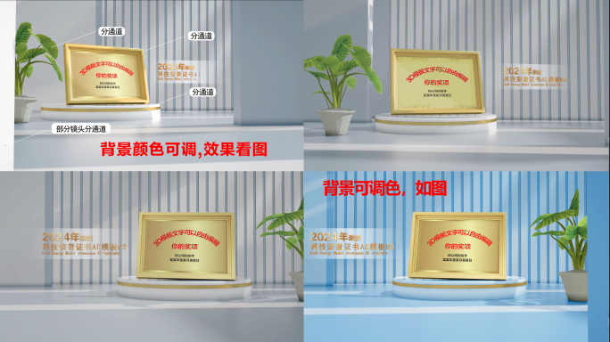 高端企业荣誉证书奖牌模板-横