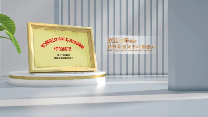 高端企业荣誉证书奖牌模板-横