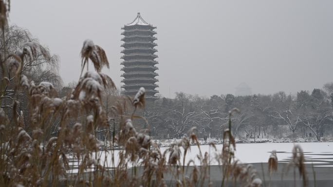 北京大学博雅塔冬季雪景