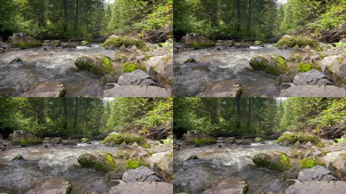森林景观中湍急的山间河流。