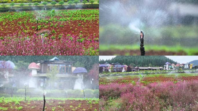 4k花草园林喷灌