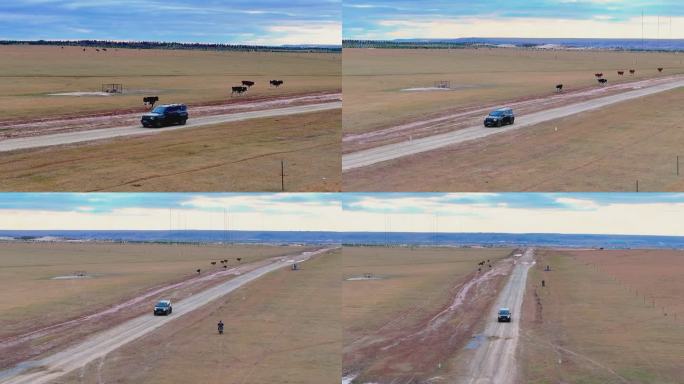 4k航拍草原上行驶的汽车