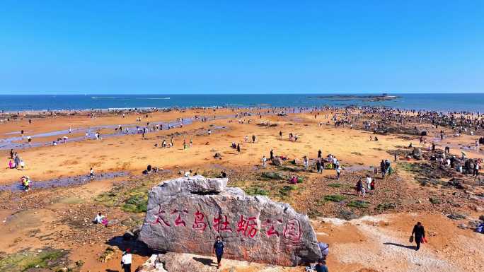 日照太公岛牡蛎公园