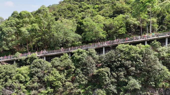 广东观音山国家森林公园第十二届登山大赛