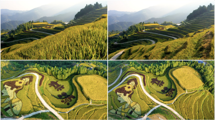 遂川桃源梯田航拍