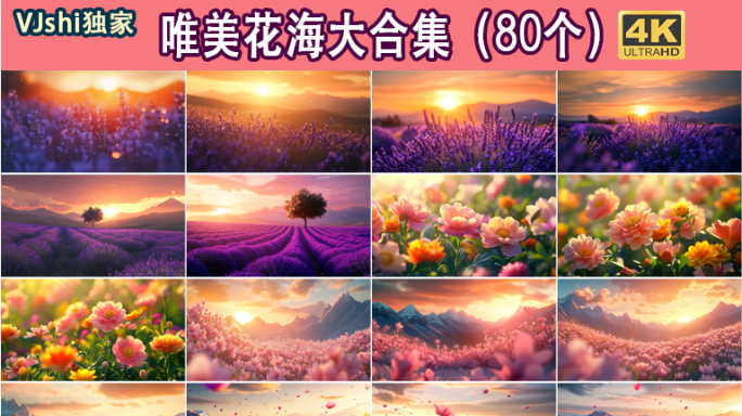 梦幻唯美花海大合集