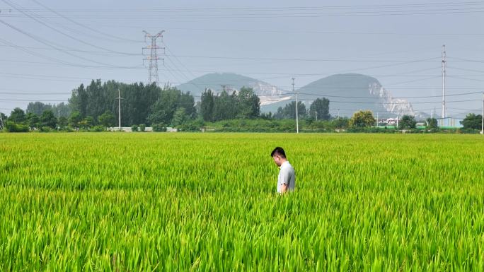 田间地头 乡村振兴