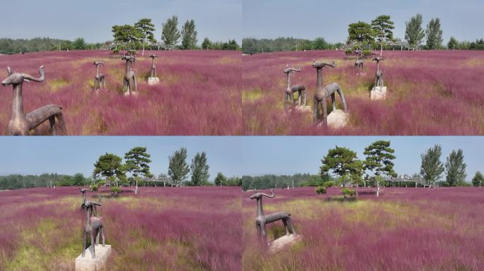 三门峡虢都花海