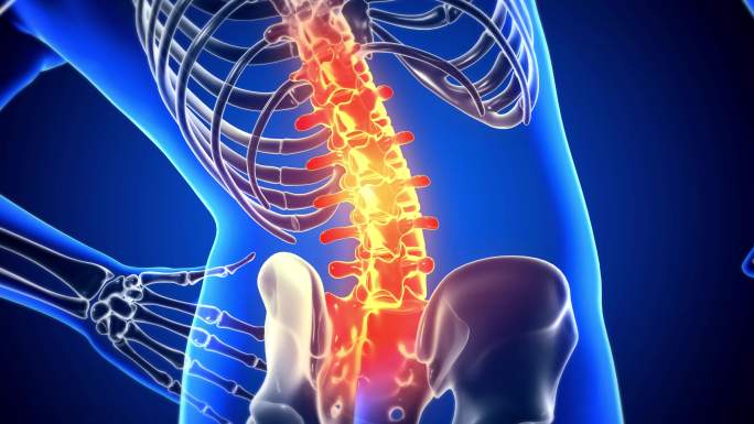 4K腰椎颈椎人体骨骼关节疼痛透视三维视频