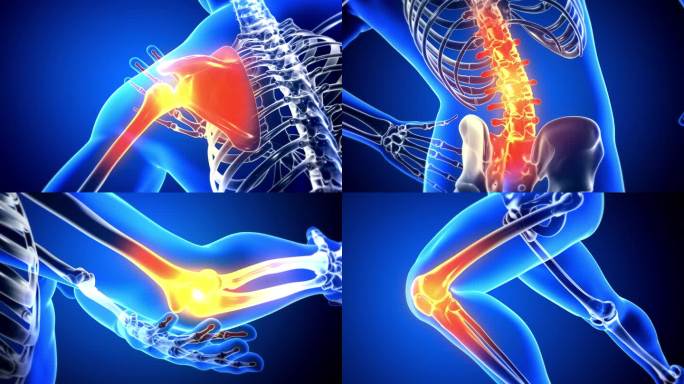 4K腰椎颈椎人体骨骼关节疼痛透视三维视频
