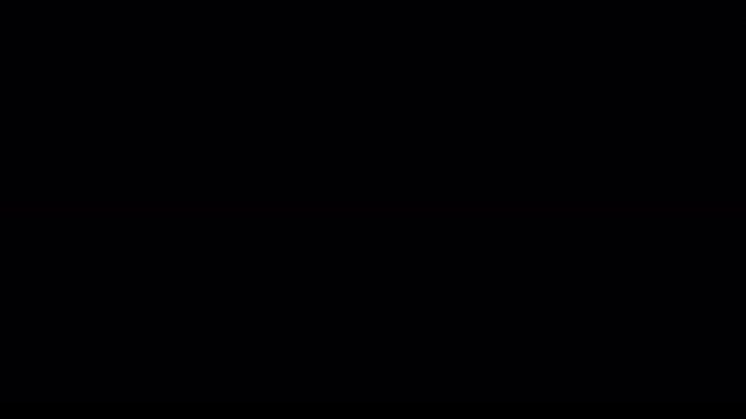 凤凰粒子特效带通道C