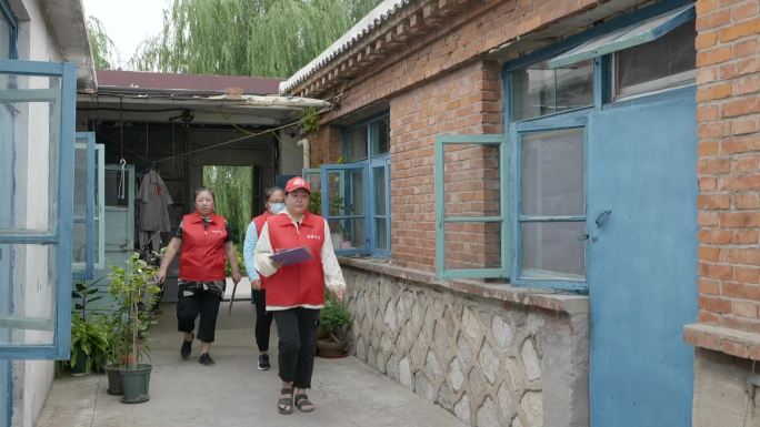 乡村志愿者 走访普及知识