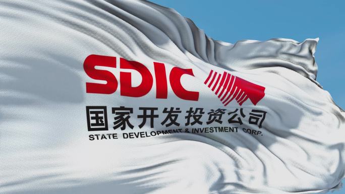国家开发投资公司