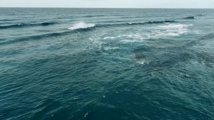 石油泄漏石油泄漏污染海洋大海