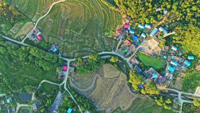 金秋十月夕阳下的乡村农田田野梯田航拍