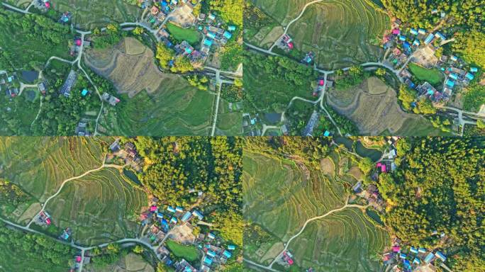 金秋十月夕阳下的乡村农田田野梯田航拍