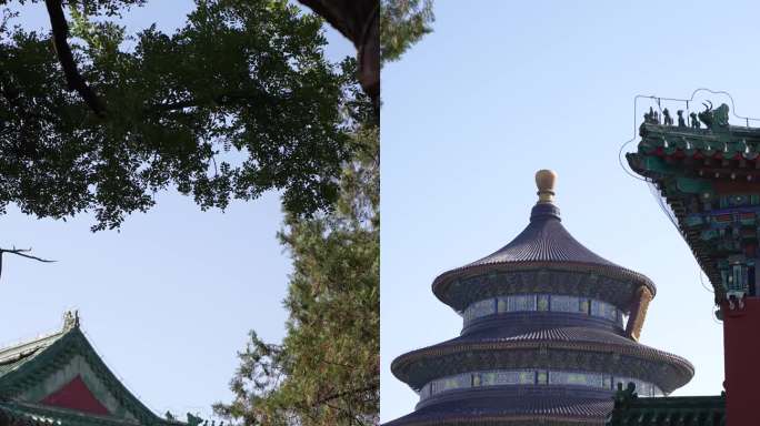 天坛公园空镜竖版