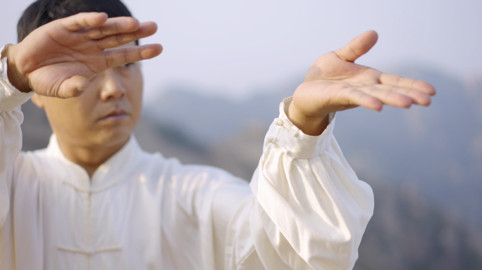 太极 武术 中华文化 传承 非遗 国粹