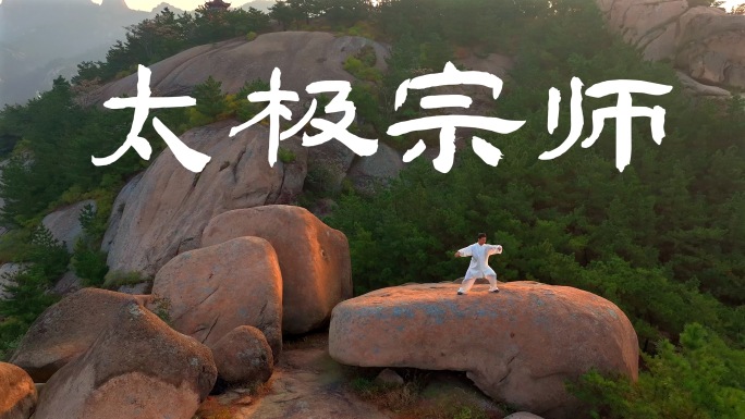 太极 武术 中华文化 传承 非遗 国粹