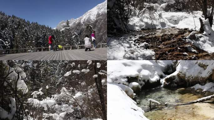 游客 松鼠 林海雪原
