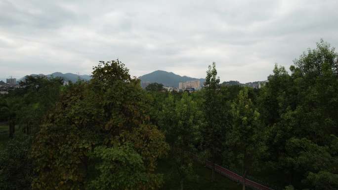 航拍富宁百越公园上升镜头