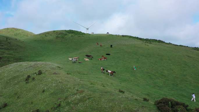 避暑胜地，中国凉都，贵州六盘水乌蒙大草原