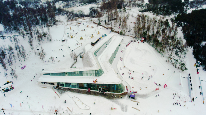 航拍雪绒花公园长白山二道白河镇