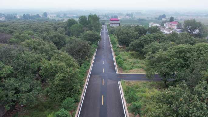村集体经济承包的采摘园果园