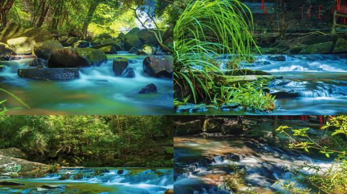 原生态溪流小溪流水山泉水溪水慢门延时素材