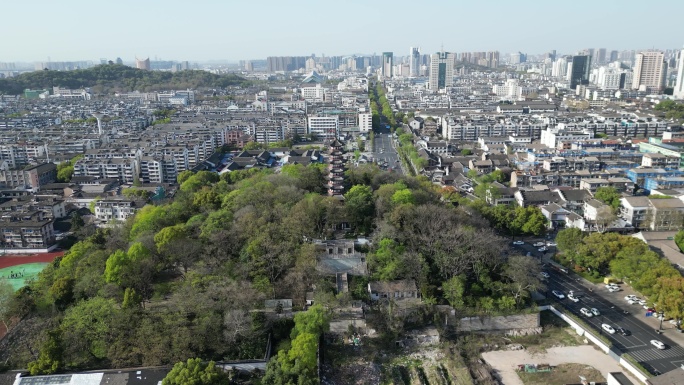 蕺山