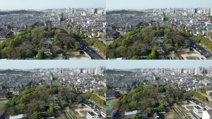蕺山