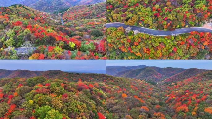 山中秋色 层林尽染 盘山路