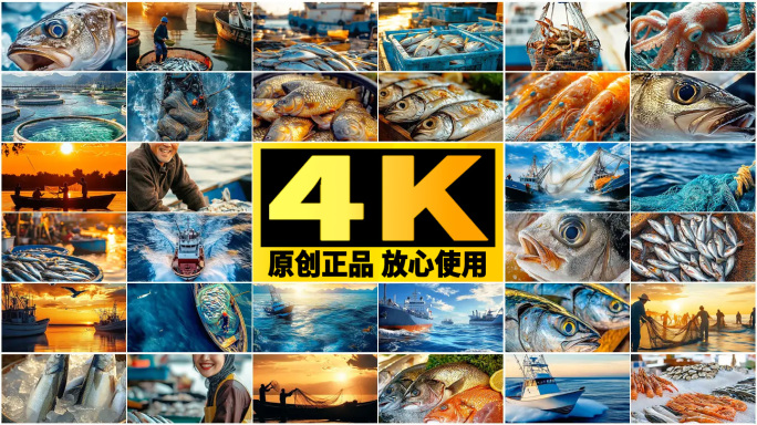 水产养殖 渔民 打渔 渔业海洋生物 海边