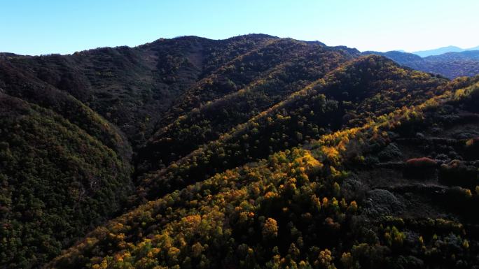 4K云顶山村庄秋景航拍