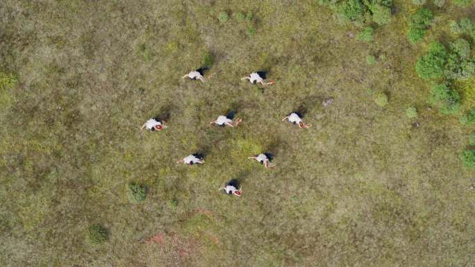 少数民族文化山巅舞蹈航拍实拍