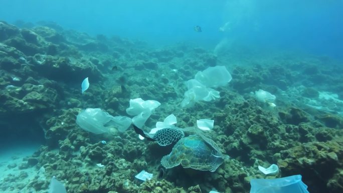 海洋垃圾航洋污染白色垃圾水下世界