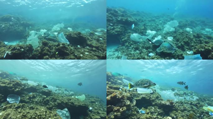 海洋垃圾航洋污染白色垃圾水下世界