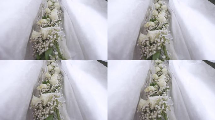 沿着郁郁葱葱的花冠向前追踪。