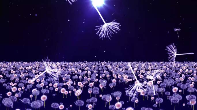 郑钧私奔配乐视频无声版