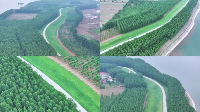 长江大保护防洪大堤航拍