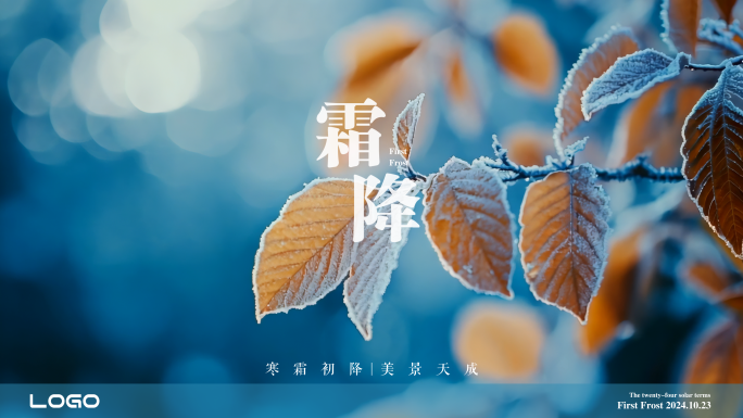 霜降二十四节气动态海报海报企业企划