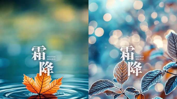 霜降二十四节气动态海报竖版海报企业企划